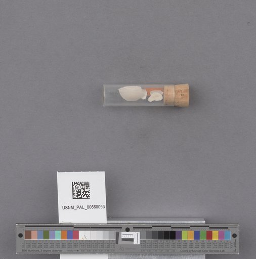 NSF ADBC EPICC TCN