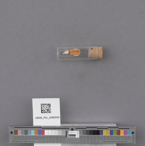 NSF ADBC EPICC TCN