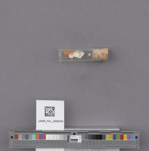 NSF ADBC EPICC TCN