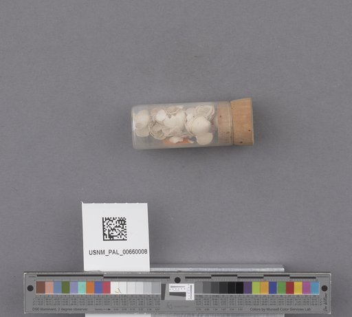 NSF ADBC EPICC TCN