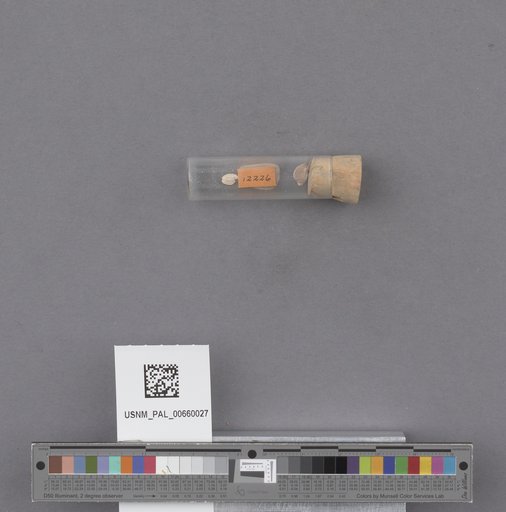 NSF ADBC EPICC TCN