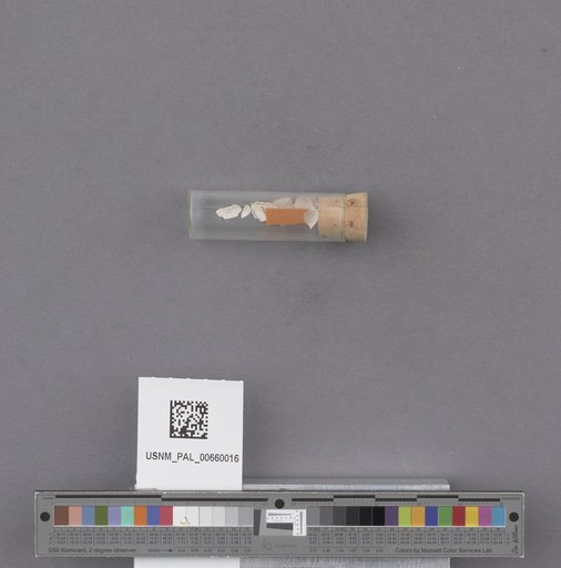 NSF ADBC EPICC TCN