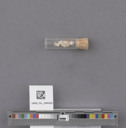 NSF ADBC EPICC TCN