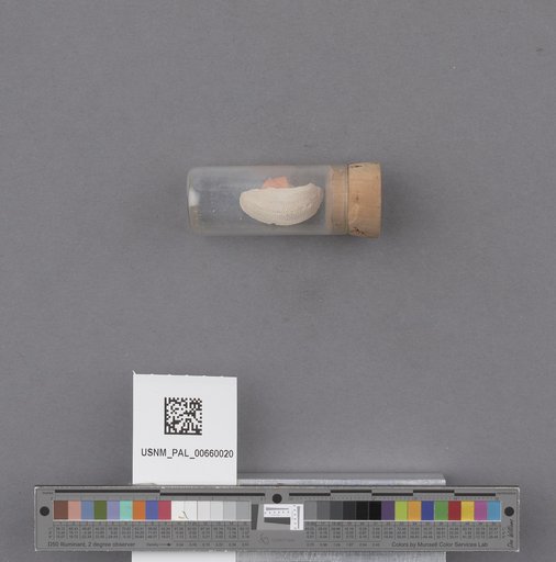 NSF ADBC EPICC TCN