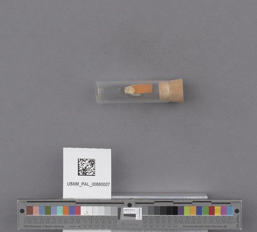 NSF ADBC EPICC TCN