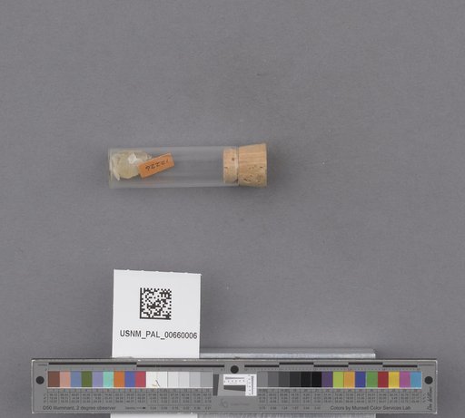 NSF ADBC EPICC TCN