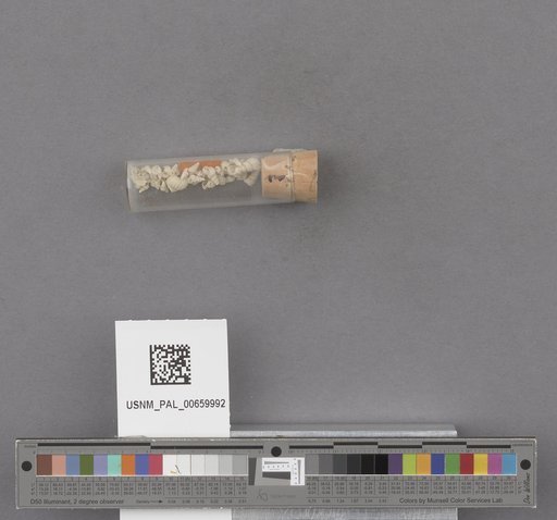 NSF ADBC EPICC TCN