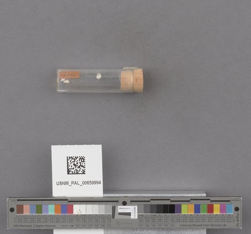 NSF ADBC EPICC TCN
