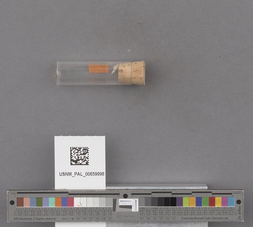 NSF ADBC EPICC TCN