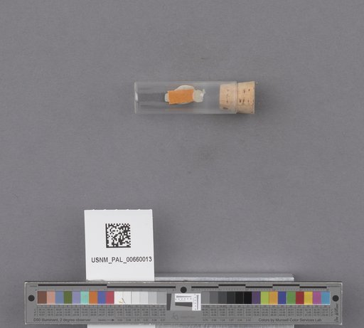 NSF ADBC EPICC TCN