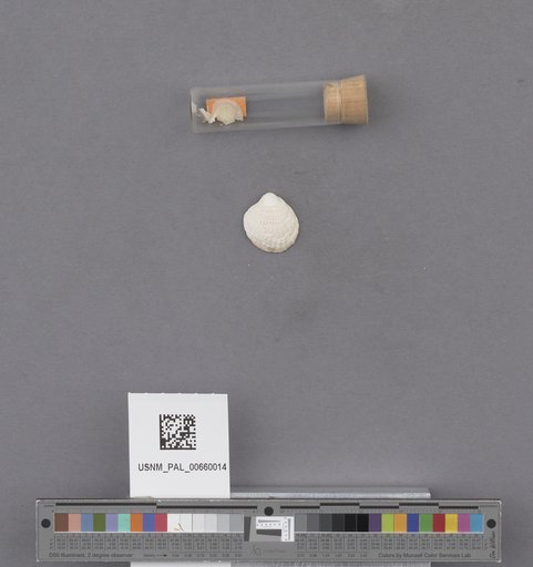 NSF ADBC EPICC TCN