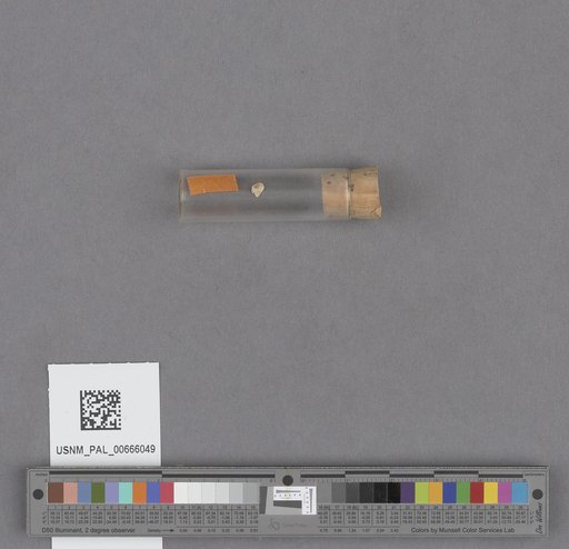 NSF ADBC EPICC TCN