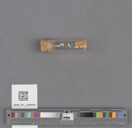 NSF ADBC EPICC TCN