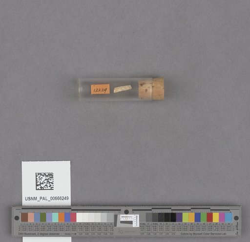 NSF ADBC EPICC TCN