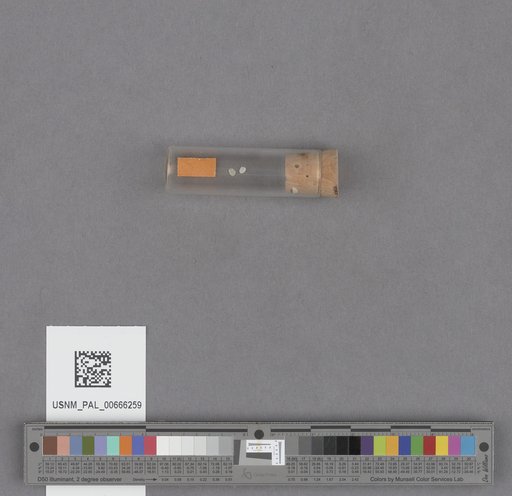 NSF ADBC EPICC TCN