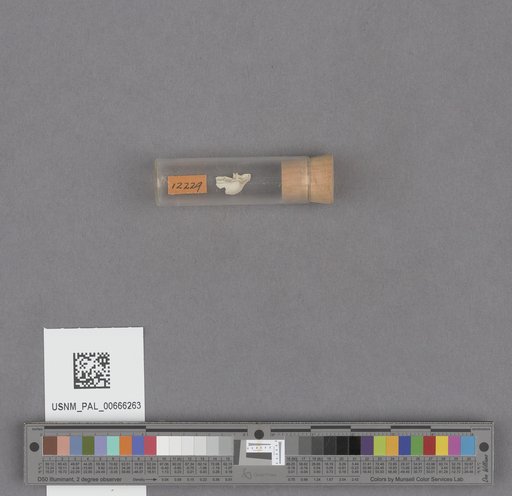 NSF ADBC EPICC TCN