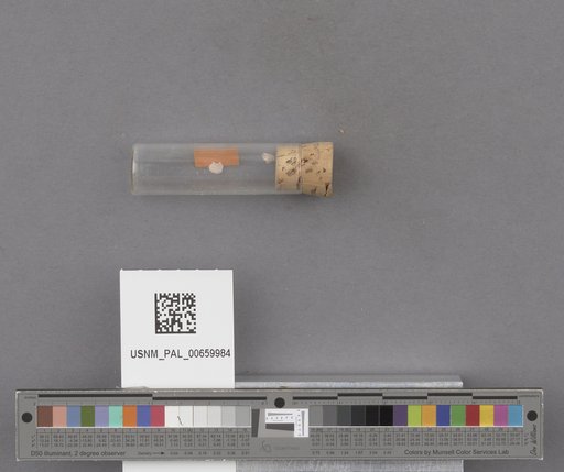 NSF ADBC EPICC TCN