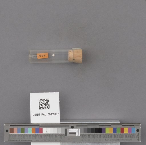 NSF ADBC EPICC TCN