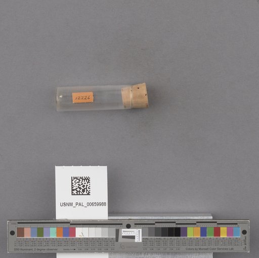NSF ADBC EPICC TCN