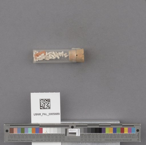 NSF ADBC EPICC TCN