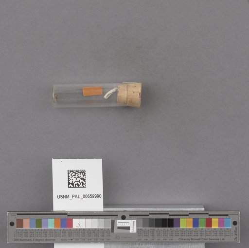 NSF ADBC EPICC TCN