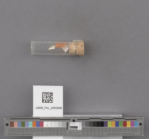 NSF ADBC EPICC TCN