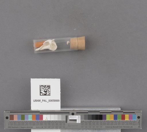 NSF ADBC EPICC TCN