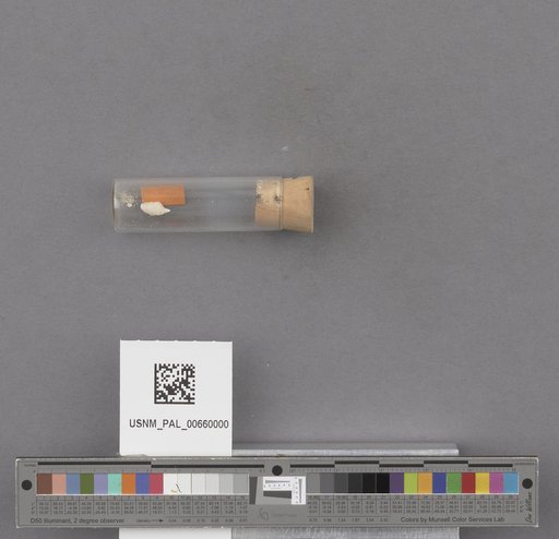 NSF ADBC EPICC TCN