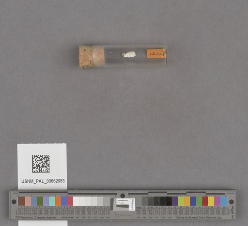 NSF ADBC EPICC TCN