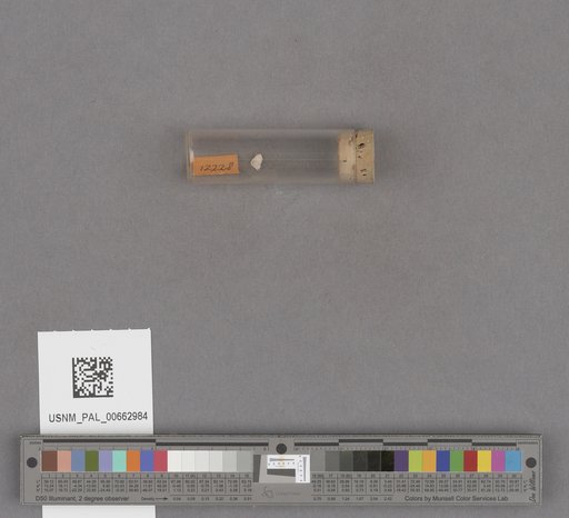 NSF ADBC EPICC TCN