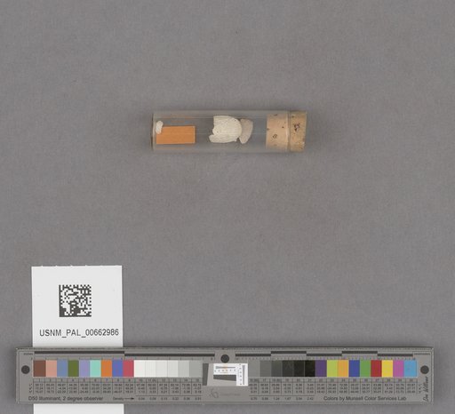 NSF ADBC EPICC TCN