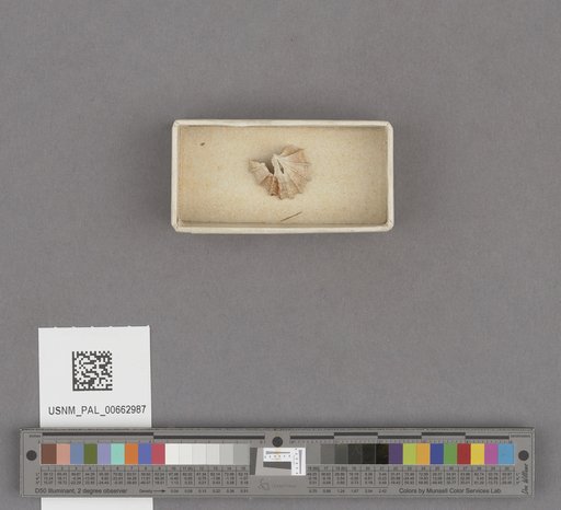NSF ADBC EPICC TCN