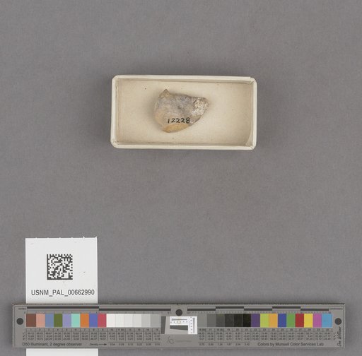 NSF ADBC EPICC TCN