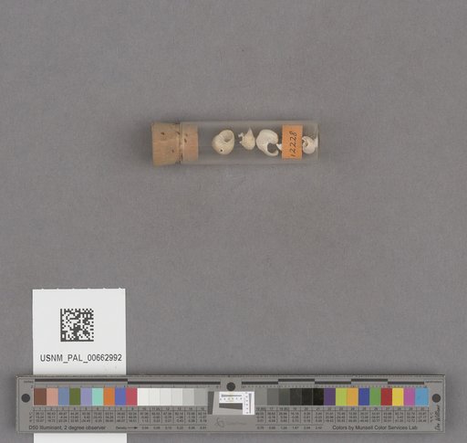 NSF ADBC EPICC TCN
