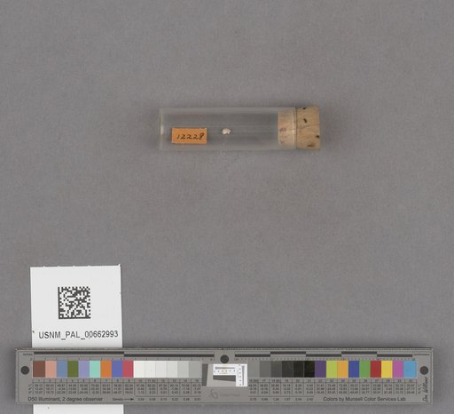 NSF ADBC EPICC TCN