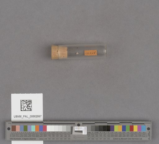 NSF ADBC EPICC TCN