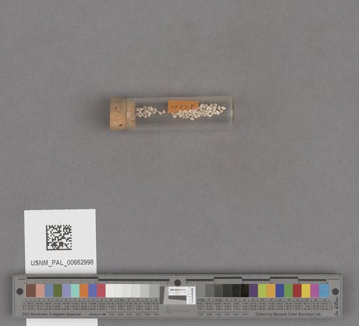 NSF ADBC EPICC TCN