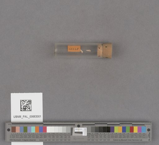NSF ADBC EPICC TCN