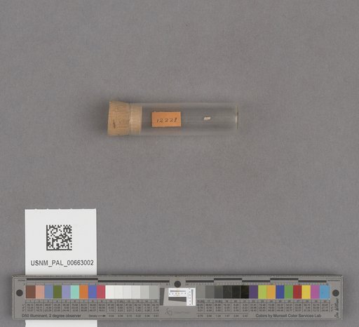 NSF ADBC EPICC TCN