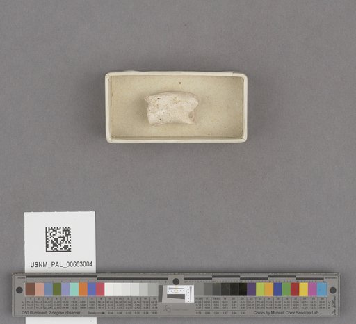 NSF ADBC EPICC TCN