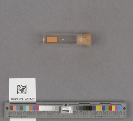 NSF ADBC EPICC TCN