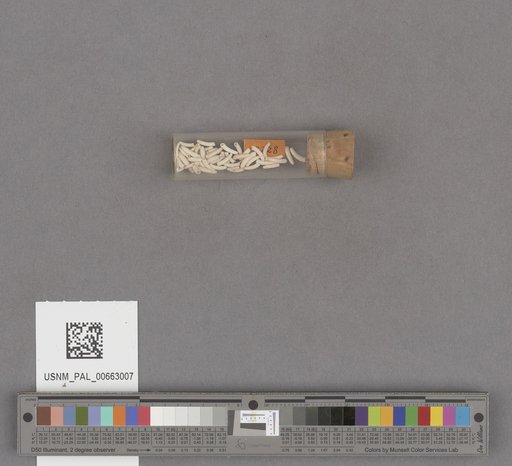 NSF ADBC EPICC TCN