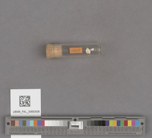 NSF ADBC EPICC TCN