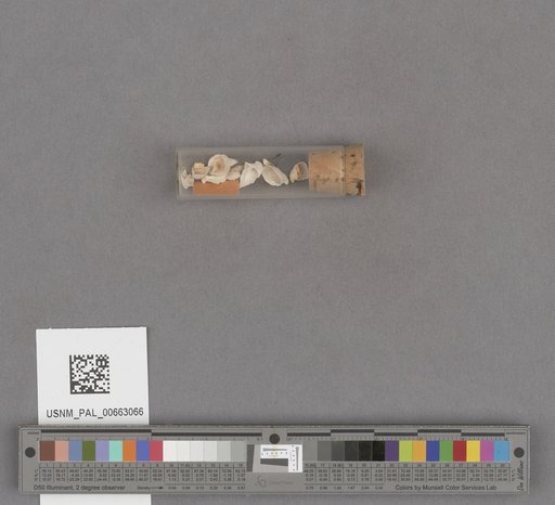 NSF ADBC EPICC TCN