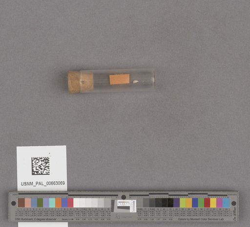 NSF ADBC EPICC TCN