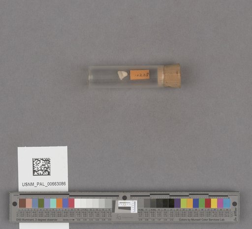 NSF ADBC EPICC TCN