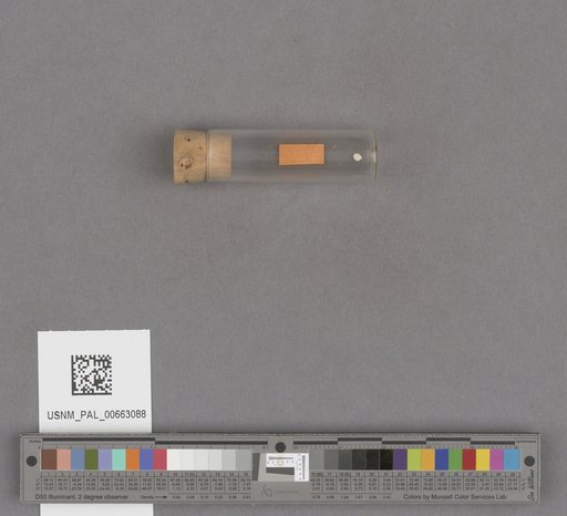 NSF ADBC EPICC TCN