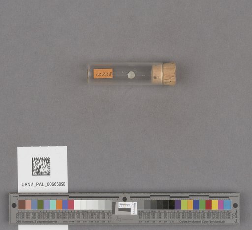 NSF ADBC EPICC TCN