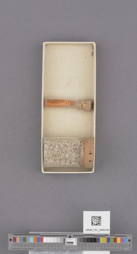 NSF ADBC EPICC TCN