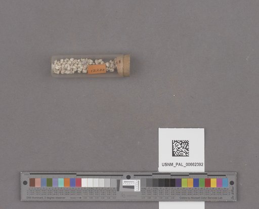 NSF ADBC EPICC TCN